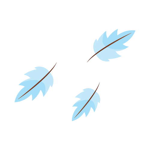 feather decoration